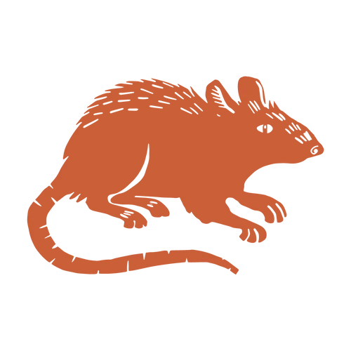 Rat Betty